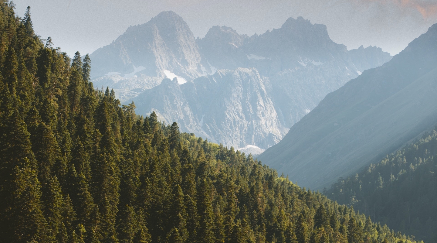 Lorem ipsum